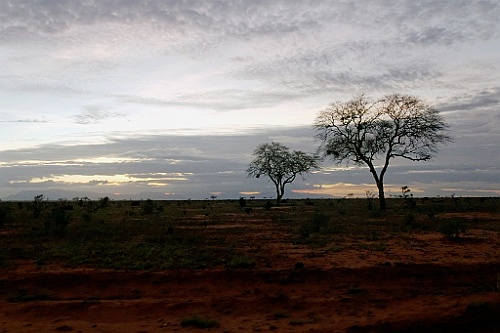 Kenia (309)